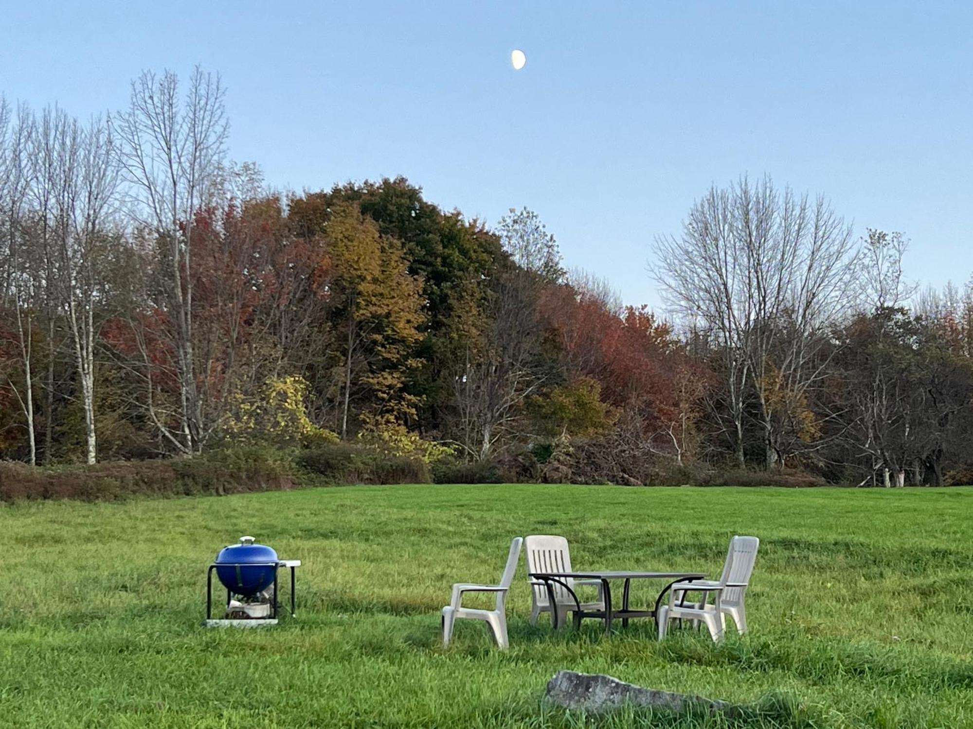 Idea Farm Hotell Callicoon Center Eksteriør bilde